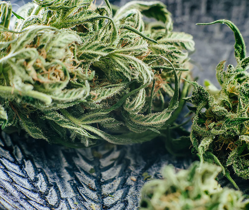 Exploring the Future of Cannabis Testing