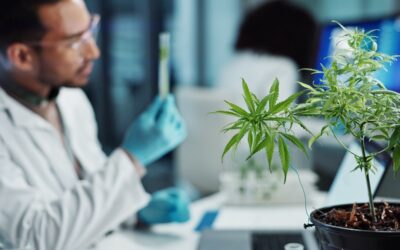 Demystifying Lab Science in the Cannabis Space
