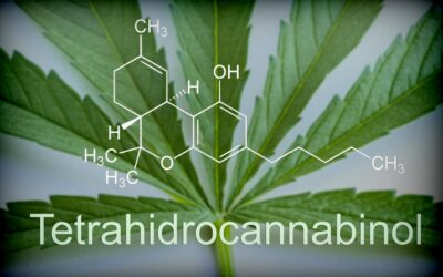 Why Accurate THC Results Matter More Than High THC Results