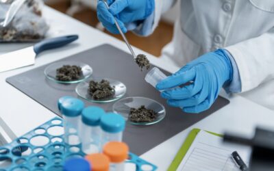 Chain of Custody Explained: Why It Matters for Compliance